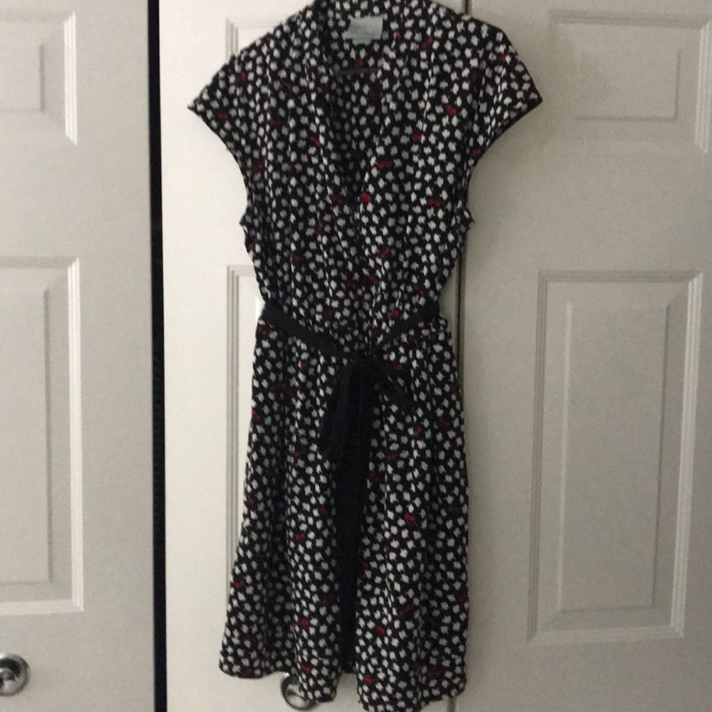 Anthropologie shirt dress